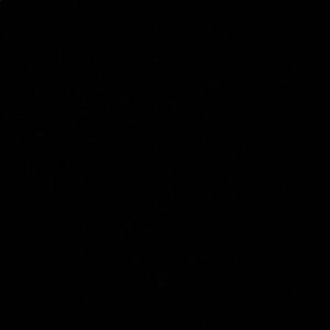 Meet your Posher, Bobby